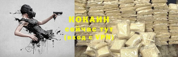 гашик Аркадак