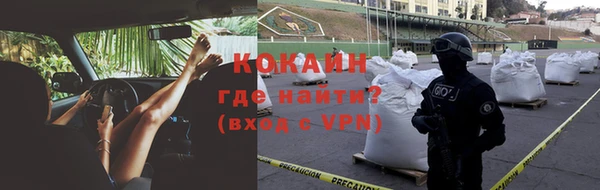 ГАЛЛЮЦИНОГЕННЫЕ ГРИБЫ Пересвет