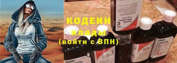 хмурый Пестово