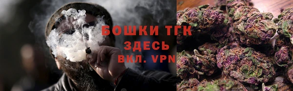 гашик Аркадак