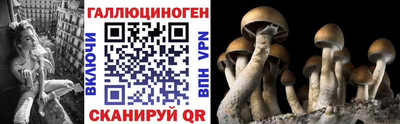 где можно купить   даркнет наркотические препараты  Галлюциногенные грибы MAGIC MUSHROOMS  Чайковский  KRAKEN маркетплейс 
